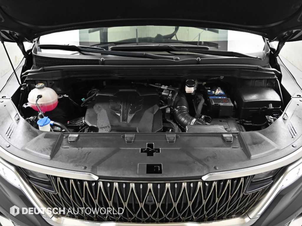 KIA Carnival - Vista 8