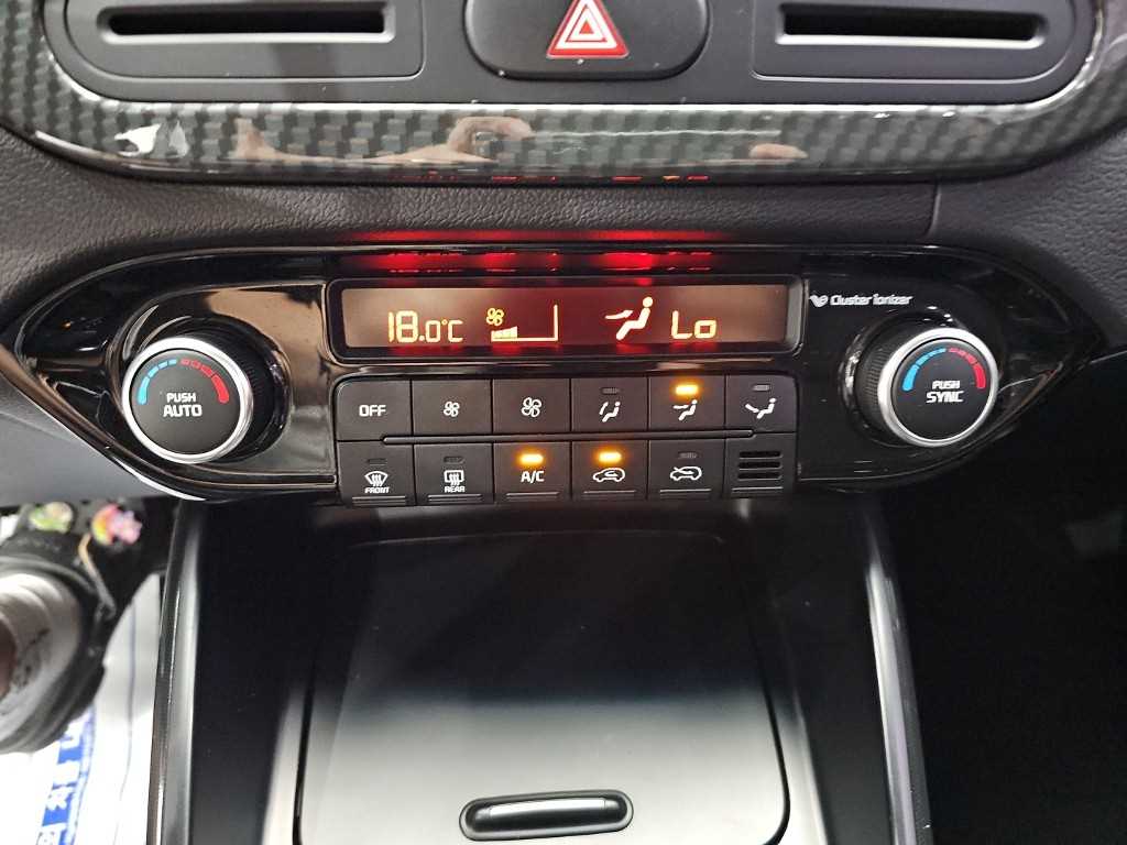 KIA Carens - Vista 12