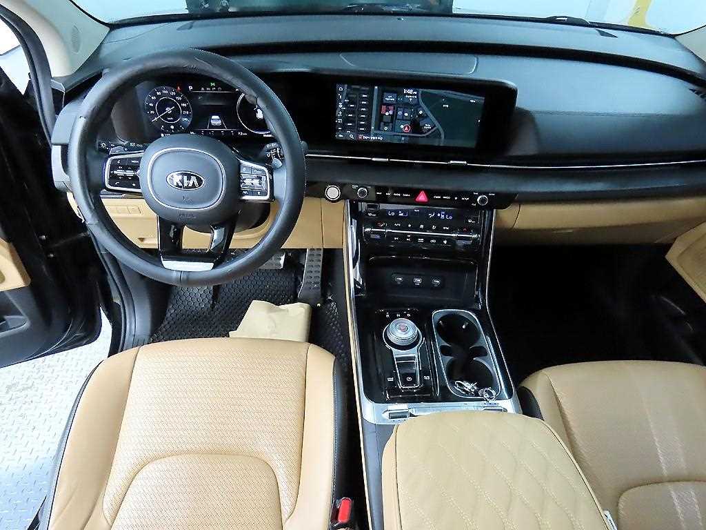 KIA Carnival - Vista 9