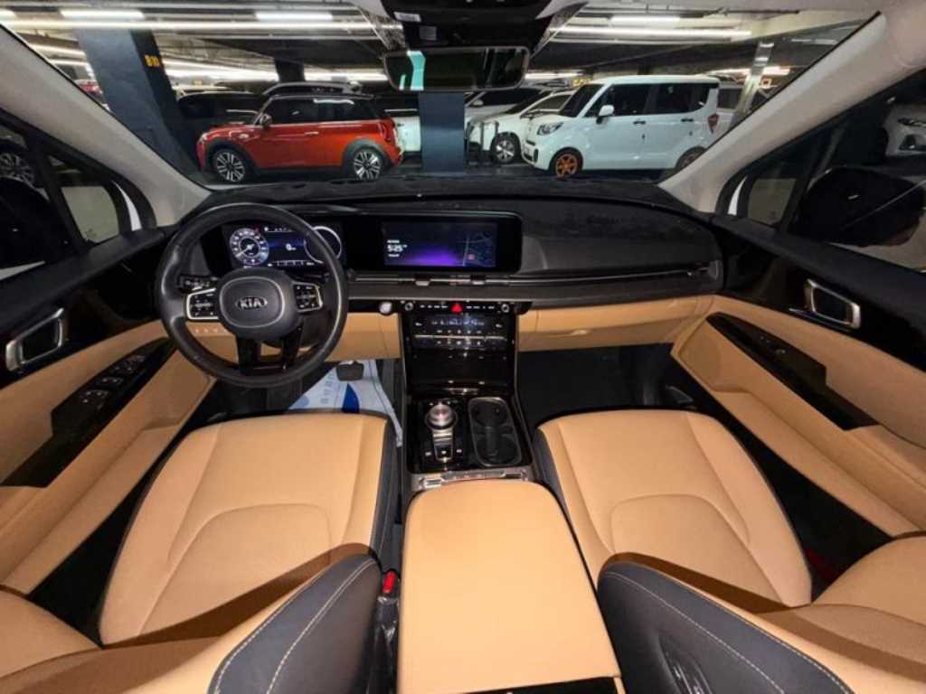 KIA Carnival - Vista 8