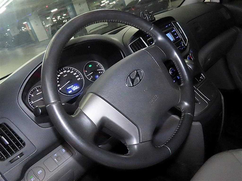 HYUNDAI Starex - Vista 10