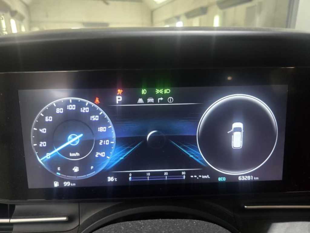 KIA Carnival - Vista 7