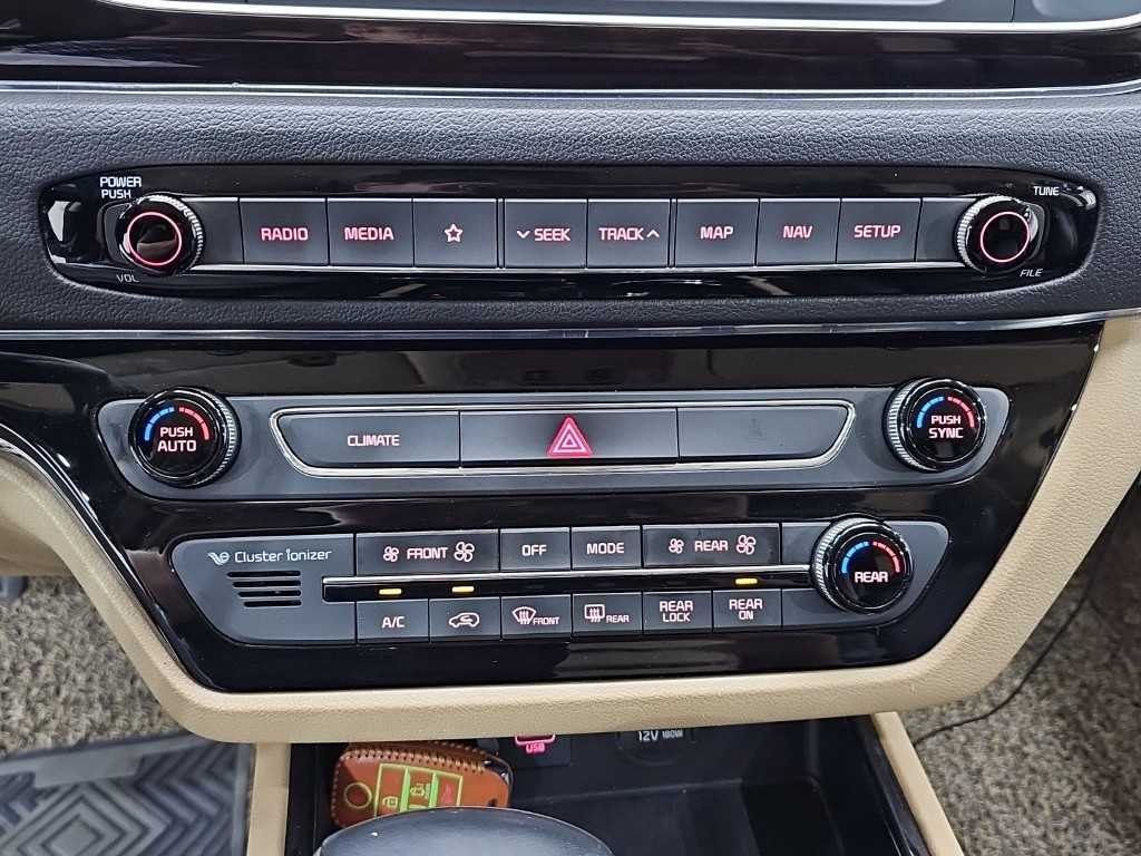 KIA Carnival - Vista 12