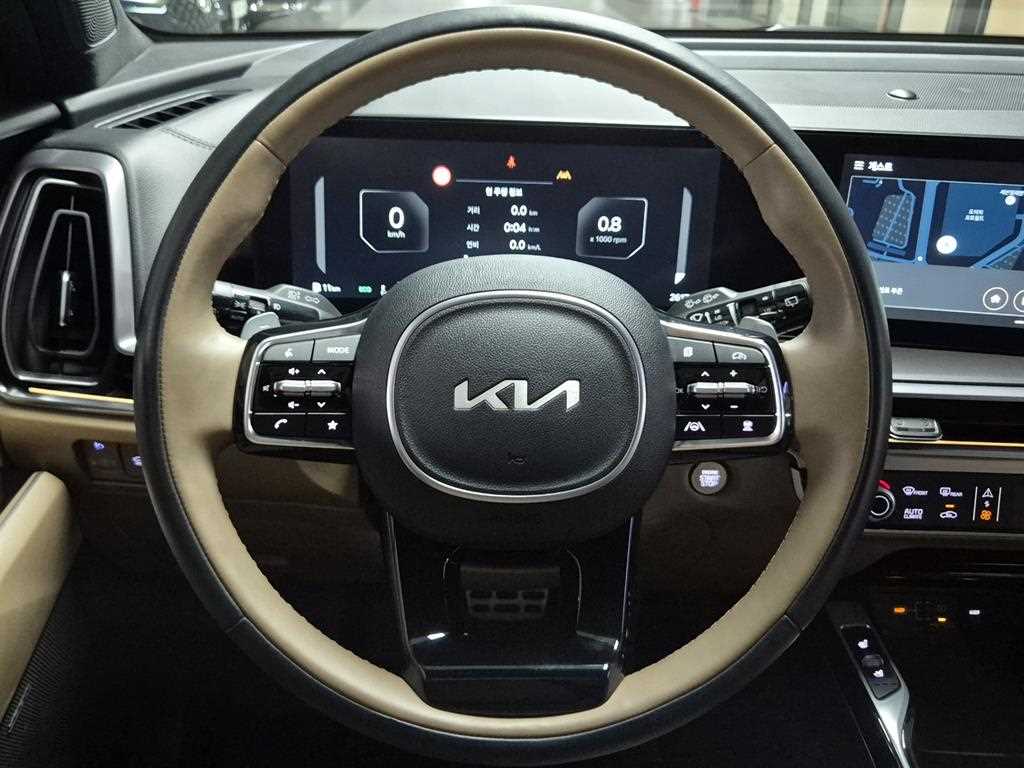 KIA Sorento - Vista 12