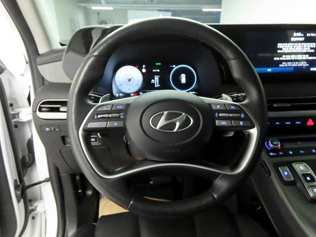 HYUNDAI Palisade - Vista 10