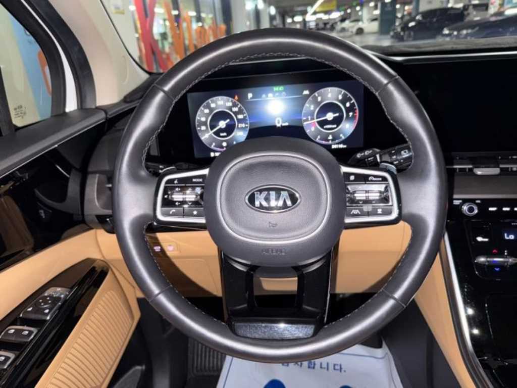 KIA Carnival - Vista 10