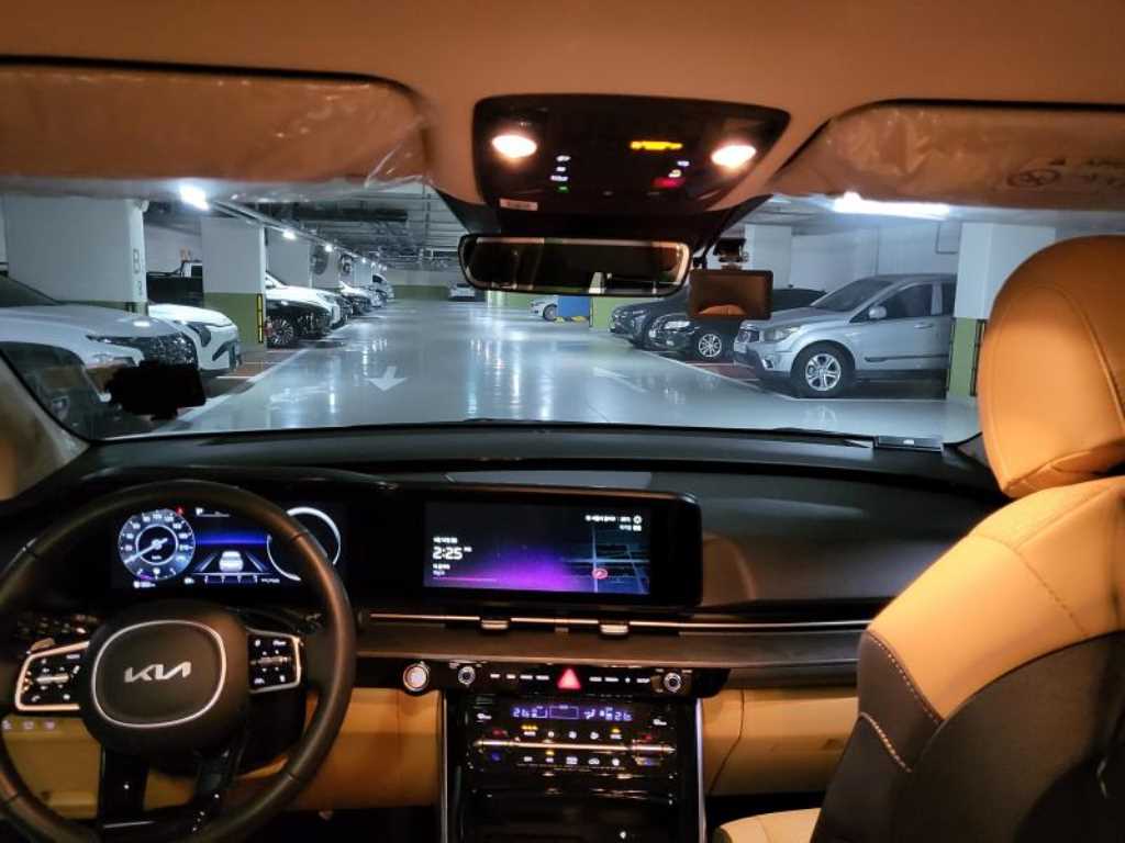 KIA Carnival - Vista 9