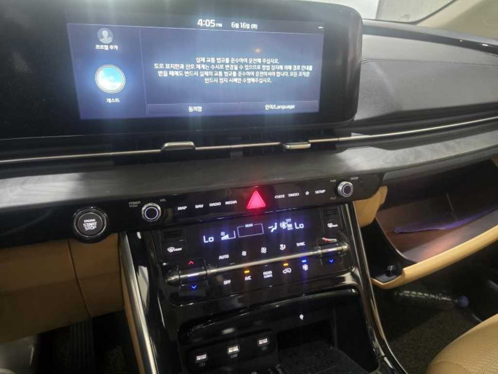 KIA Carnival - Vista 9