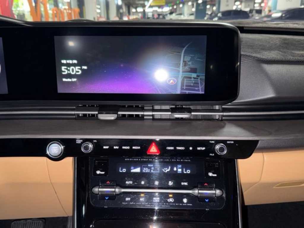 KIA Carnival - Vista 12