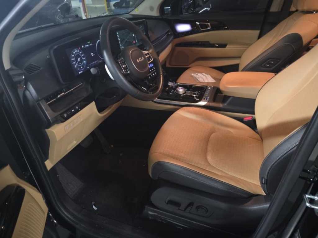 KIA Carnival - Vista 8
