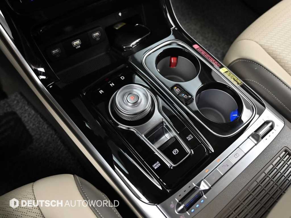 KIA Carnival - Vista 11