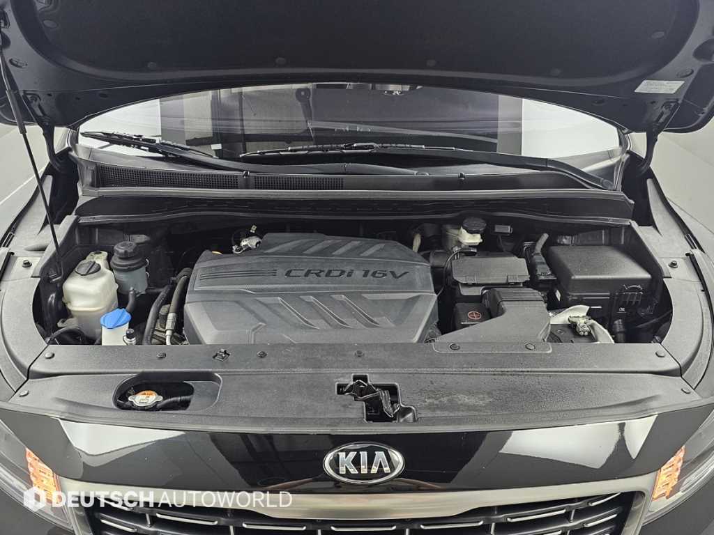KIA Carnival - Vista 8