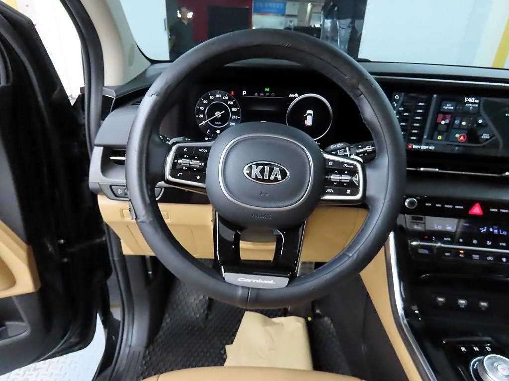 KIA Carnival - Vista 11