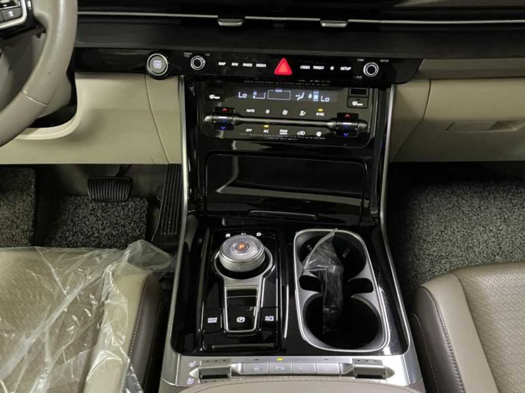 KIA Carnival - Vista 10