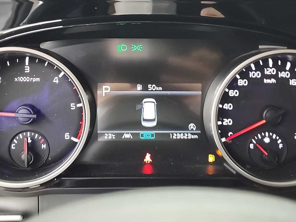 KIA Carnival - Vista 8