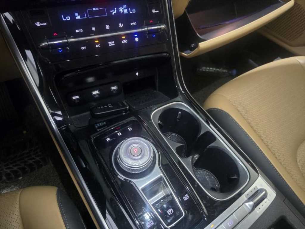 KIA Carnival - Vista 8