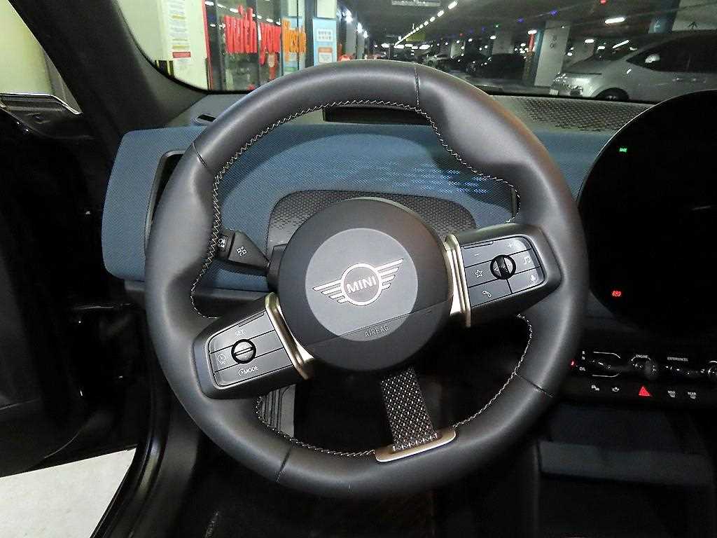 Mini Countryman - Vista 10