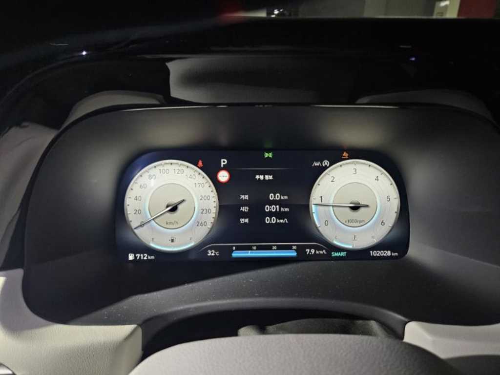 HYUNDAI Palisade - Vista 10