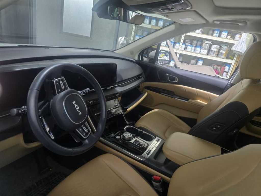 KIA Carnival - Vista 3