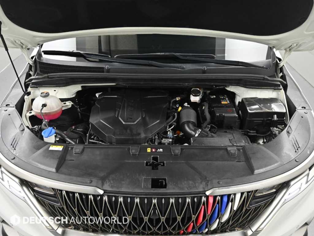 KIA Carnival - Vista 8