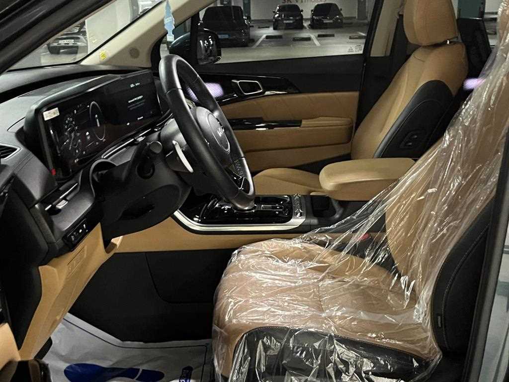 KIA Carnival - Vista 10