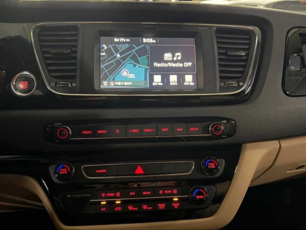 KIA Carnival - Vista 12