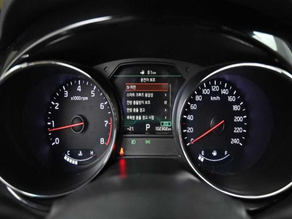 KIA Carnival - Vista 10