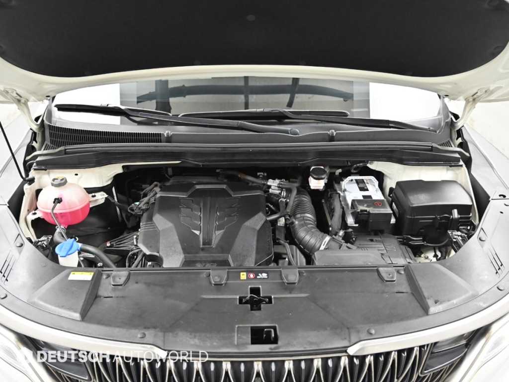 KIA Carnival - Vista 8