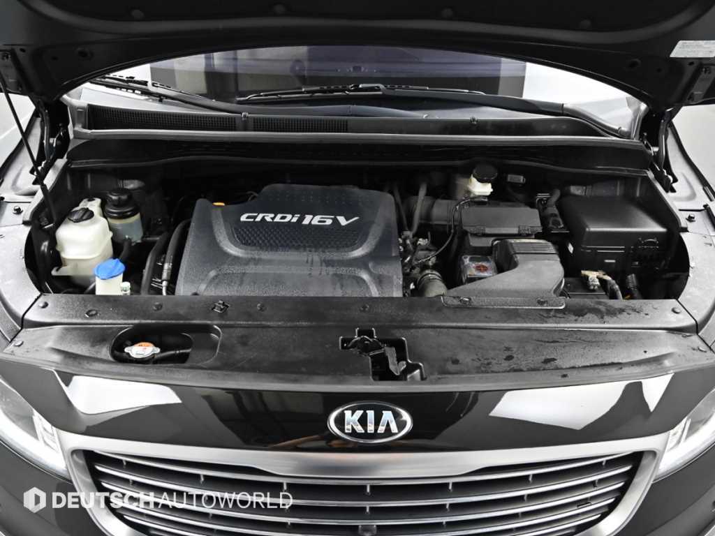 KIA Carnival - Vista 8