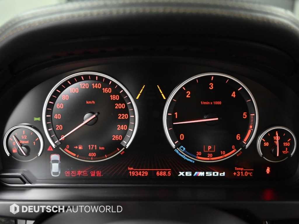 BMW X6 - Vista 10
