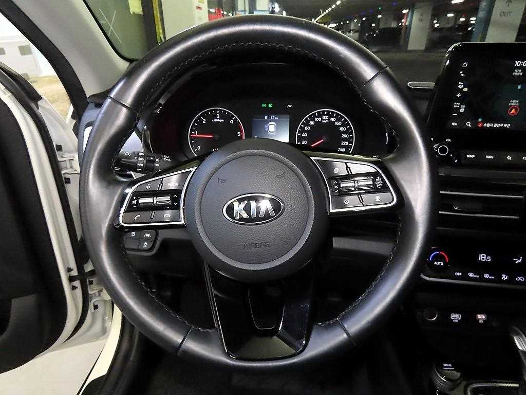 KIA Seltos - Vista 10