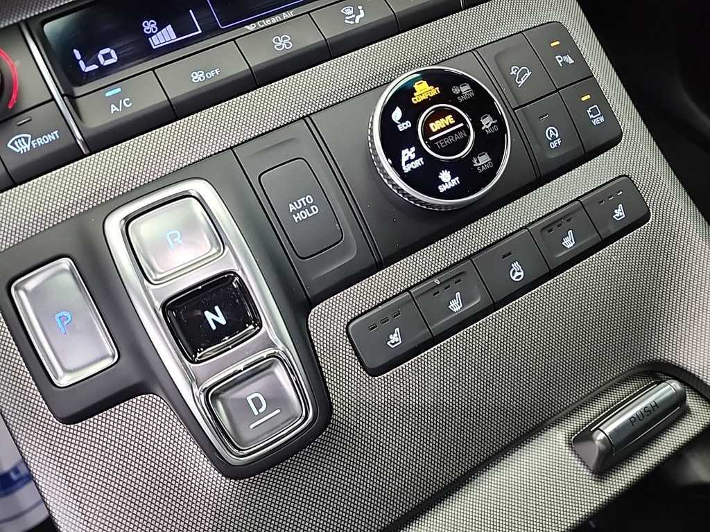HYUNDAI Palisade - Vista 10