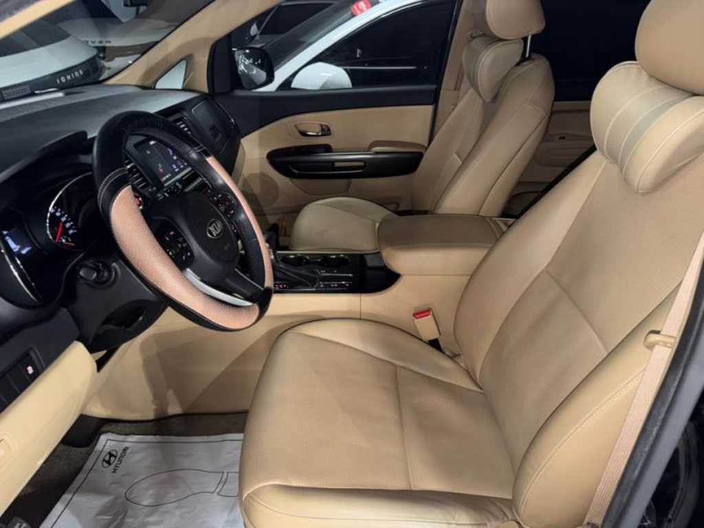 KIA Carnival - Vista 8