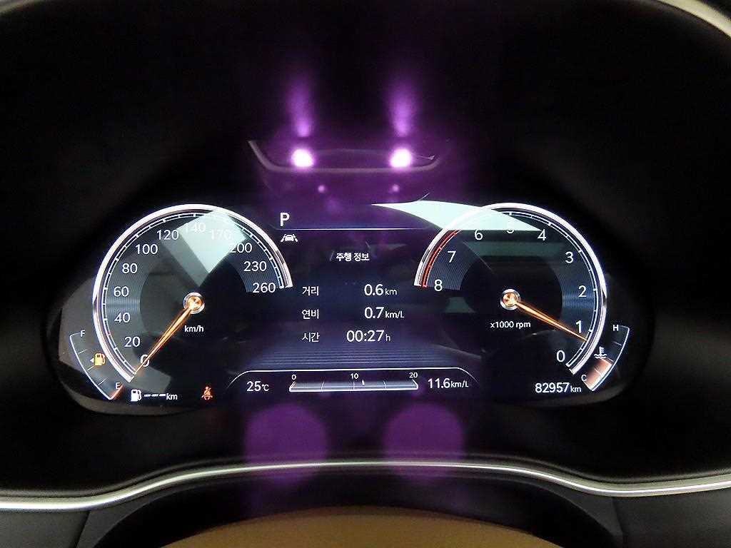 Genesis GV80 - Vista 8