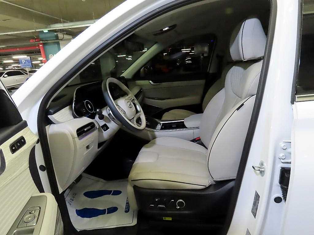 HYUNDAI Palisade - Vista 9