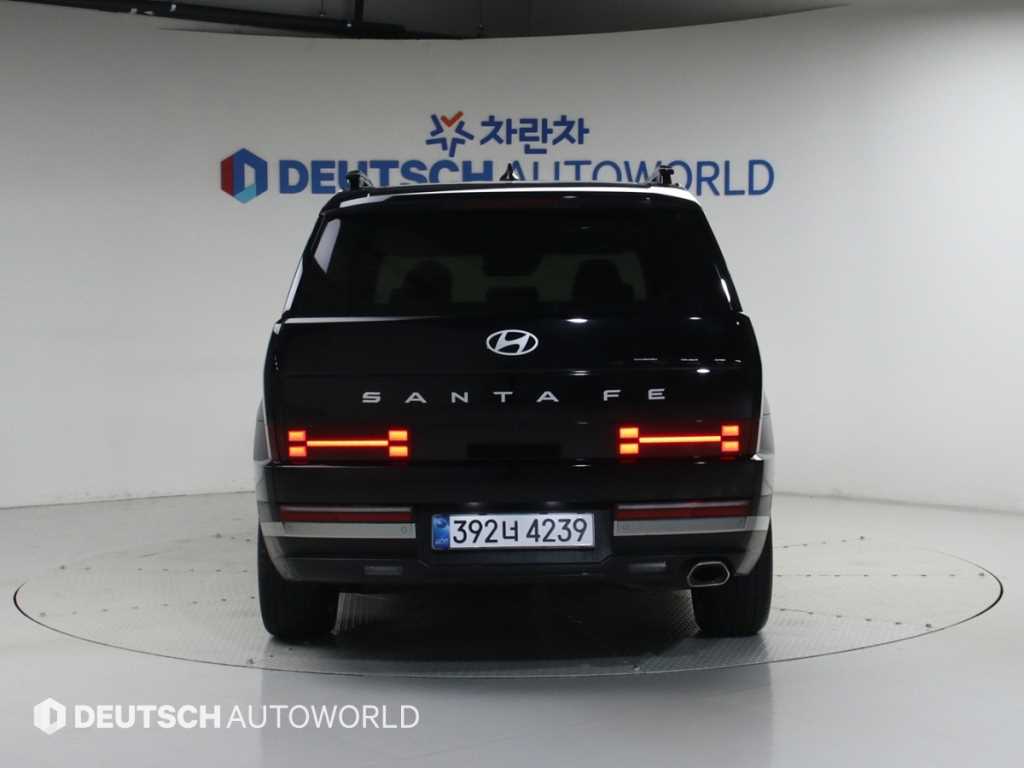 HYUNDAI Santa Fe - Vista 6