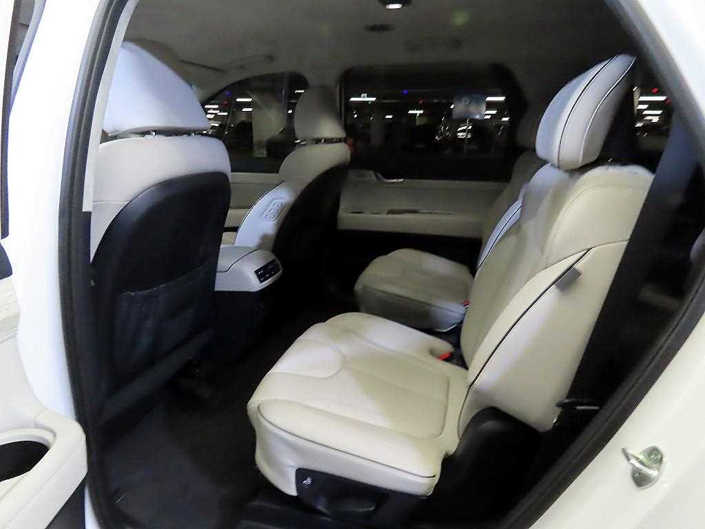HYUNDAI Palisade - Vista 10