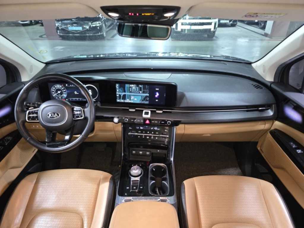 KIA Carnival - Vista 10
