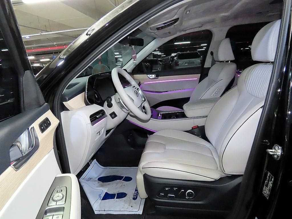 HYUNDAI Palisade - Vista 9