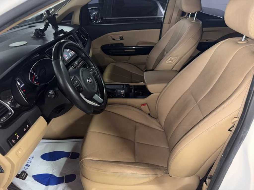 KIA Carnival - Vista 8