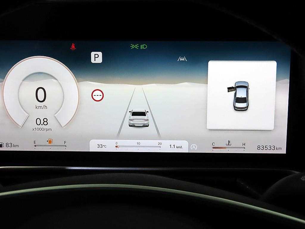Genesis G90 - Vista 11