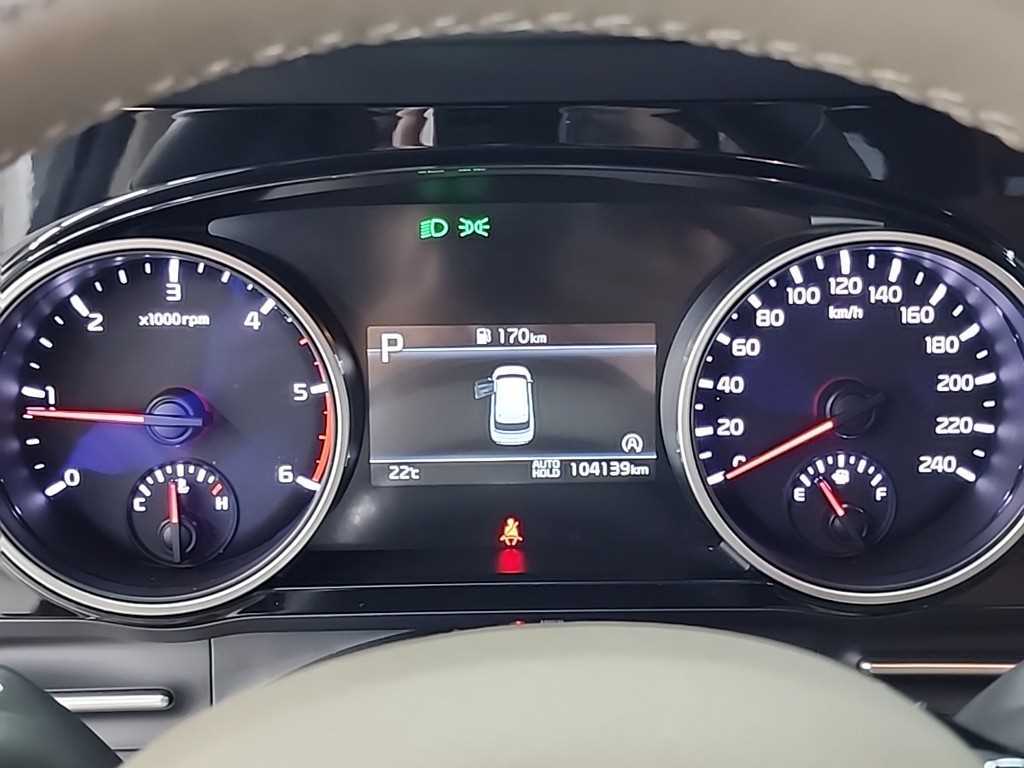 KIA Carnival - Vista 8