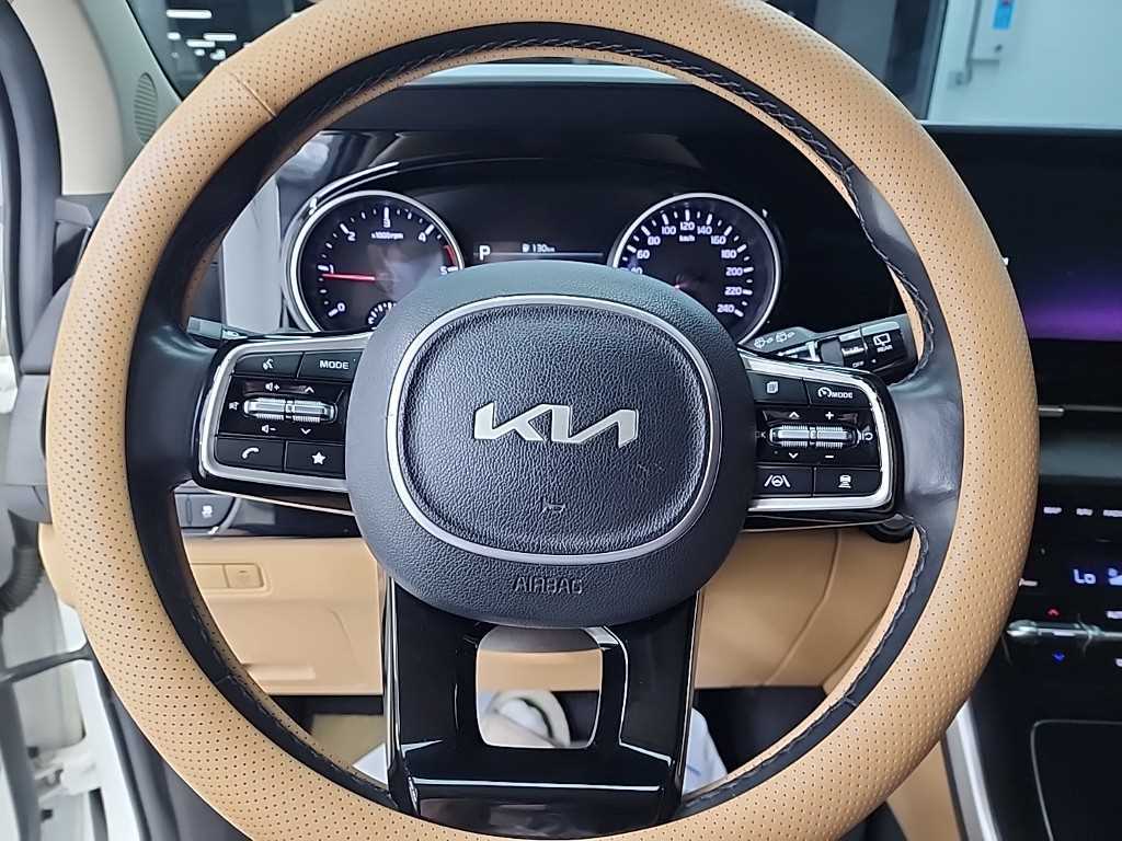 KIA Carnival - Vista 11