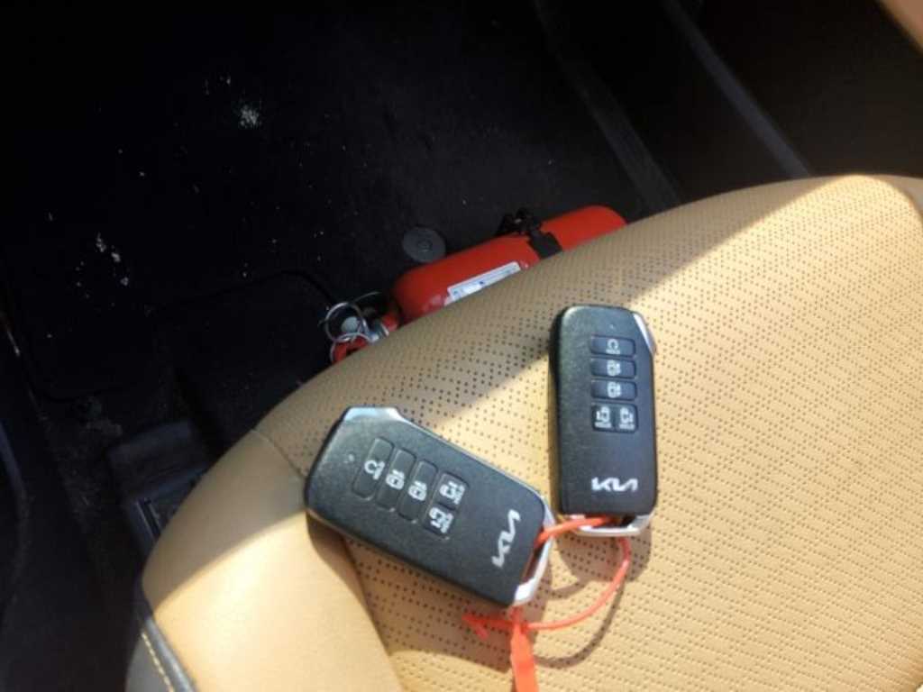 KIA Carnival - Vista 12