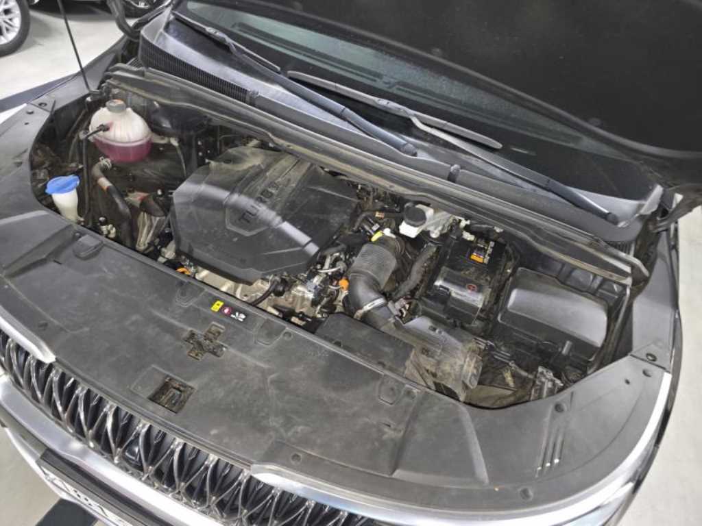 KIA Carnival - Vista 8