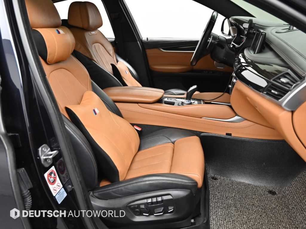 BMW X6 - Vista 12