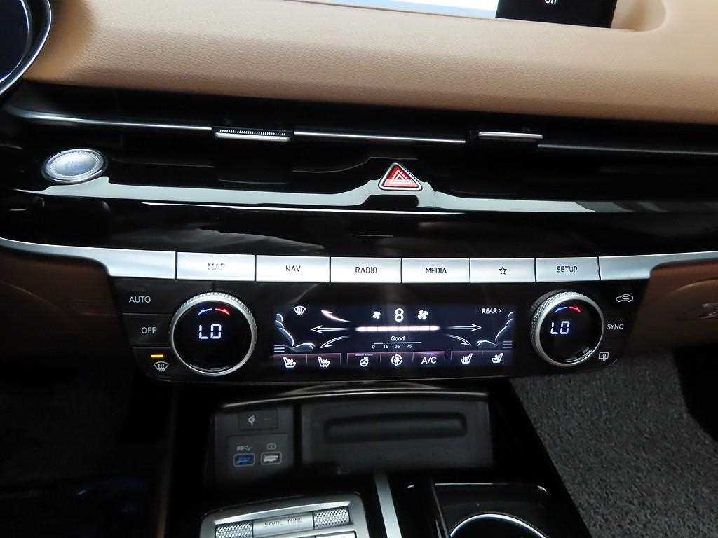 Genesis G80 - Vista 11
