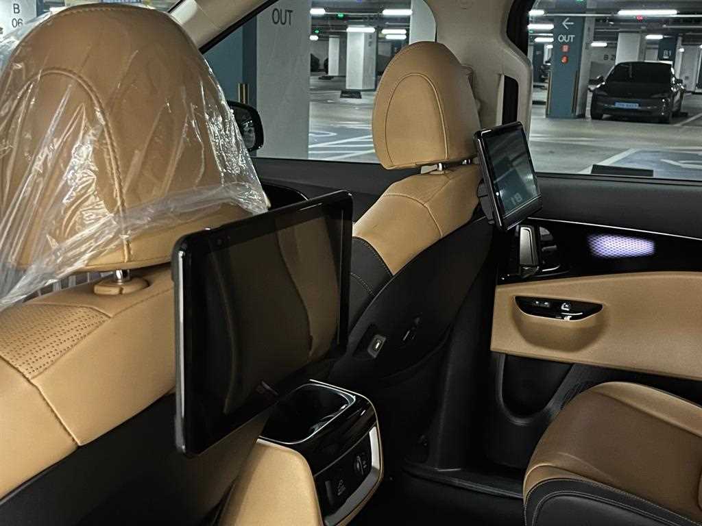 KIA Carnival - Vista 8