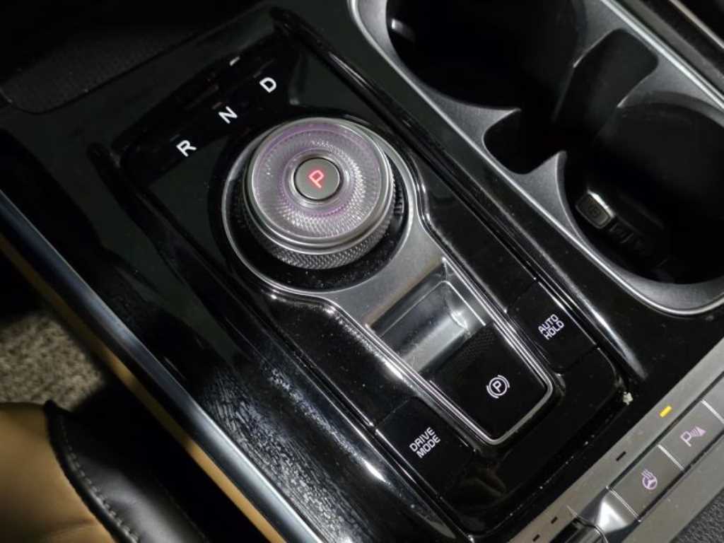 KIA Carnival - Vista 12