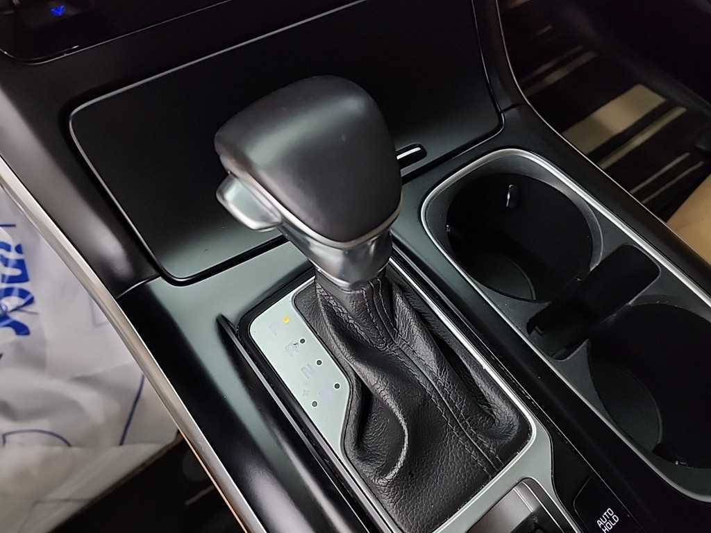 KIA Carnival - Vista 12